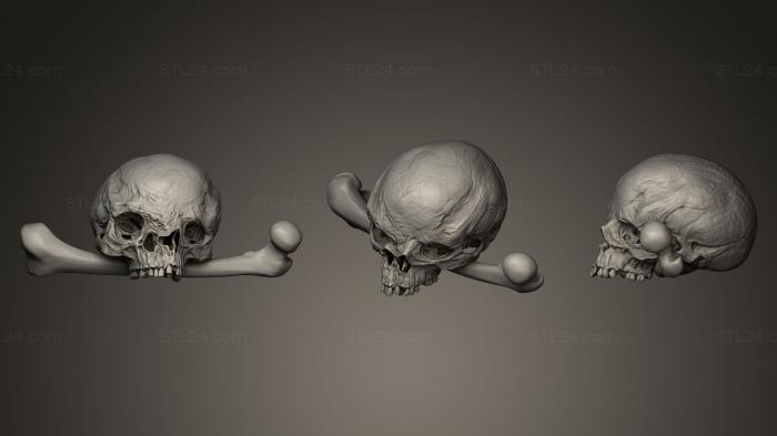 Череп Хирона с костями